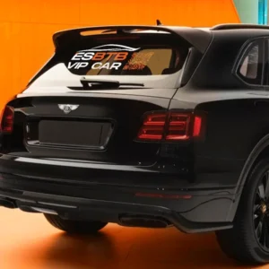 ESBTB VIP CAR
